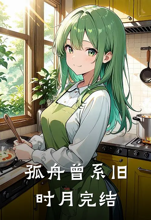孤舟曾系旧时月完结