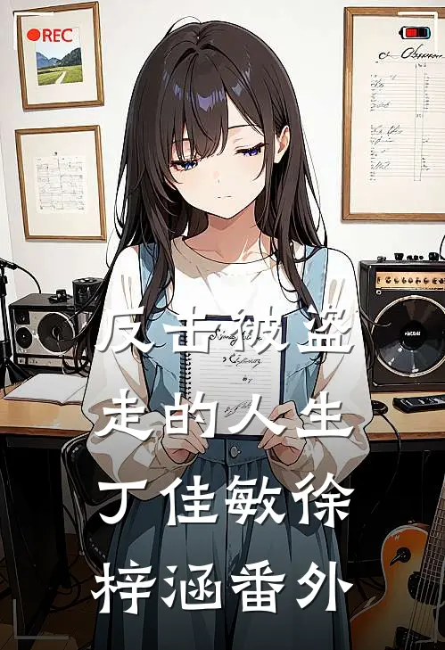 反击被盗走的人生丁佳敏徐梓涵 番外