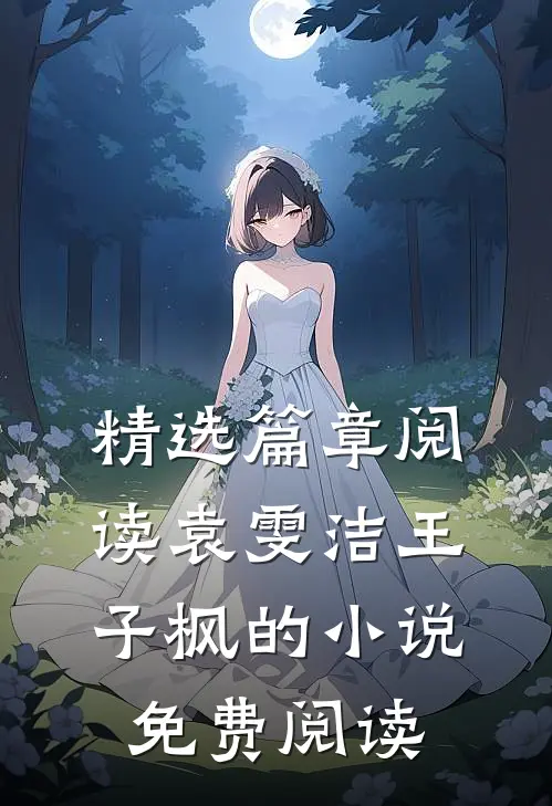精选篇章阅读袁雯洁王子枫的小说免费阅读