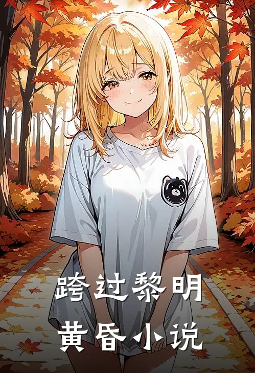 跨过黎明黄昏小说