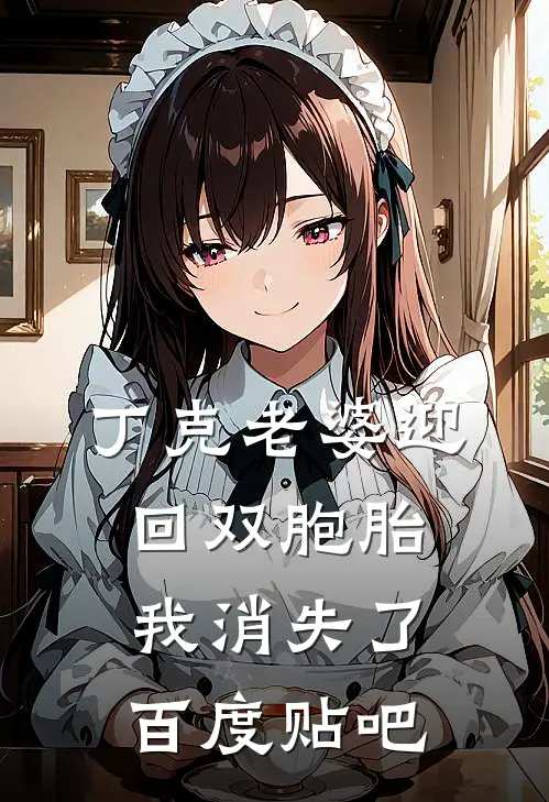 丁克老婆迎回双胞胎，我消失了百度贴吧