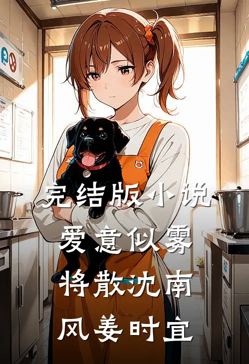 完结版小说爱意似雾将散沈南风姜时宜