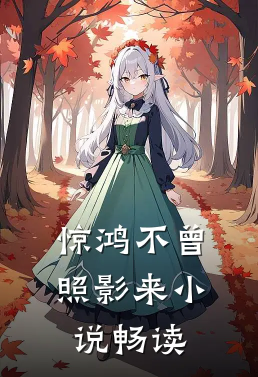 惊鸿不曾照影来小说畅读