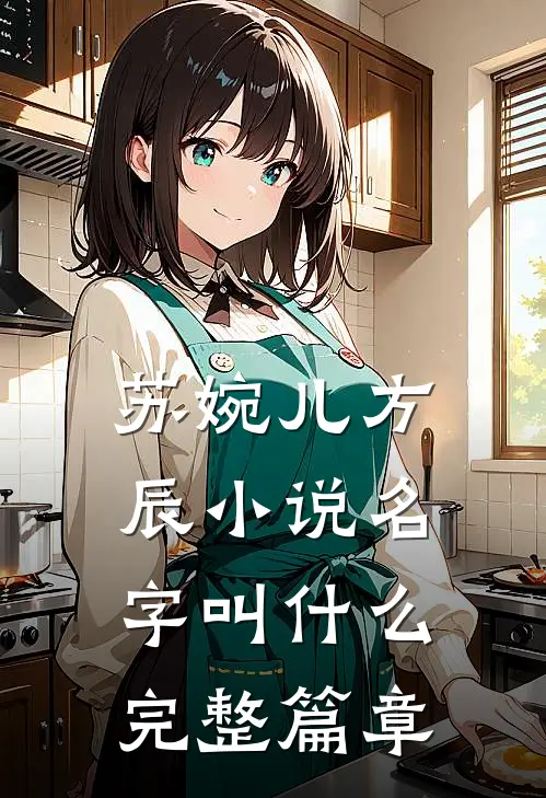 苏婉儿方辰小说名字叫什么完整篇章