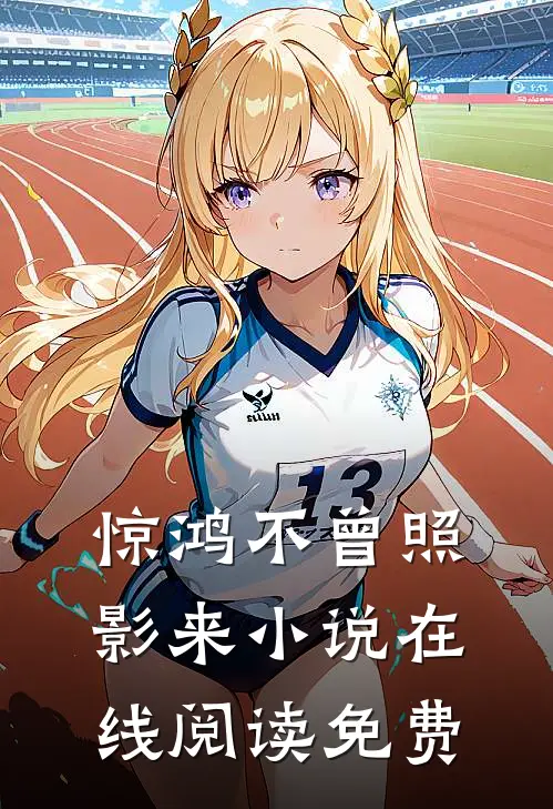 惊鸿不曾照影来小说在线阅读免费